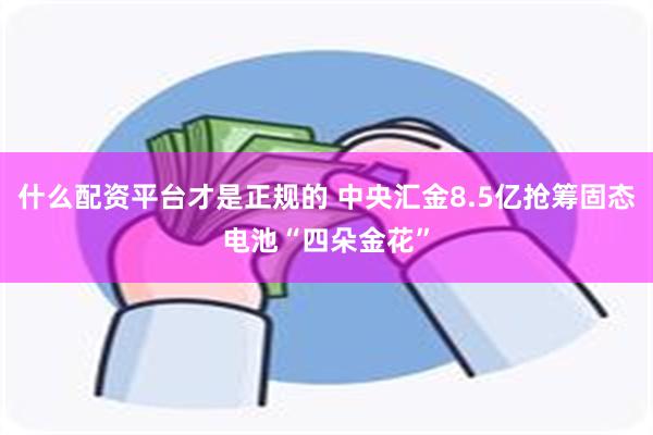 什么配资平台才是正规的 中央汇金8.5亿抢筹固态电池“四朵金花”