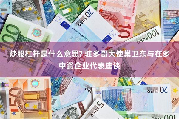 炒股杠杆是什么意思? 驻多哥大使巢卫东与在多中资企业代表座谈