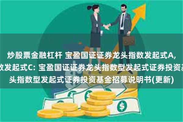 炒股票金融杠杆 宝盈国证证券龙头指数发起式A,宝盈国证证券龙头指数发起式C: 宝盈国证证券龙头指数型发起式证券投资基金招募说明书(更新)