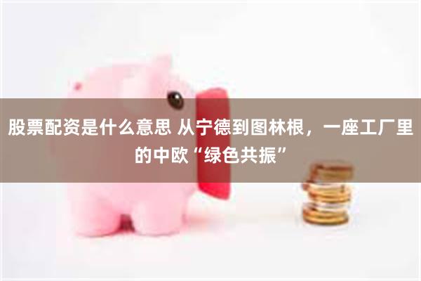 股票配资是什么意思 从宁德到图林根，一座工厂里的中欧“绿色共振”