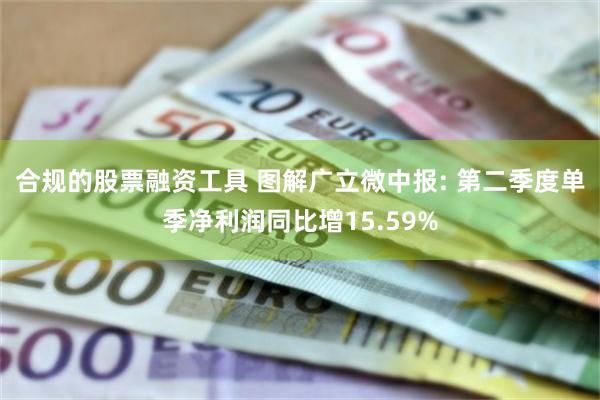 合规的股票融资工具 图解广立微中报: 第二季度单季净利润同比增15.59%