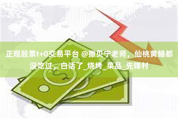 正规股票t+0交易平台 @撒贝宁老师，仙桃黄鳝都没吃过，白活了_烧烤_菜品_先锋村